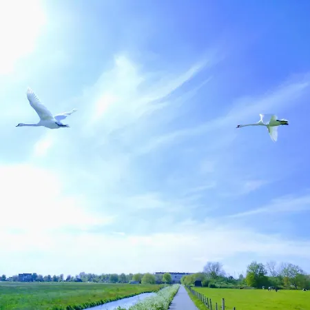 B&bslapenopeeneiland 3*