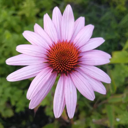 B&bslapenopeeneiland Bed & Breakfast 3*