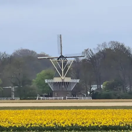 Bed & Breakfast B&bslapenopeeneiland Kaag