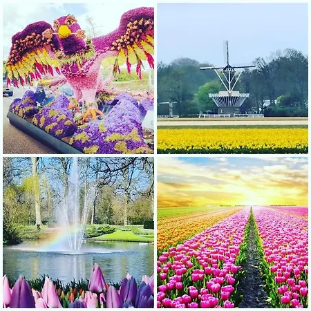 B&bslapenopeeneiland Bed & Breakfast *