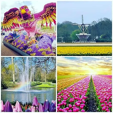 B&bslapenopeeneiland 3*