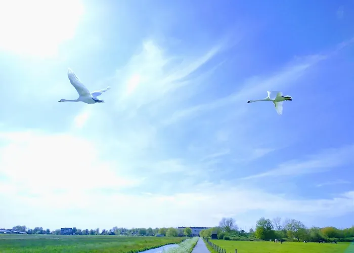 B&bslapenopeeneiland 3*