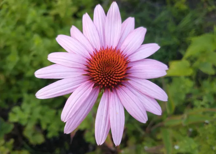 B&bslapenopeeneiland Oda ve Kahvaltı 3*