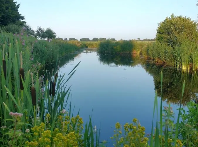 B&bslapenopeeneiland Kaag