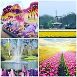 B&bslapenopeeneiland Bed & Breakfast 3*