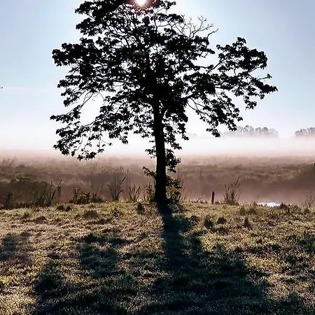 B&bslapenopeeneiland Frühstückspension Kaag