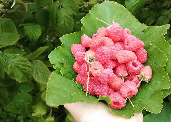 B&bslapenopeeneiland Отель типа 