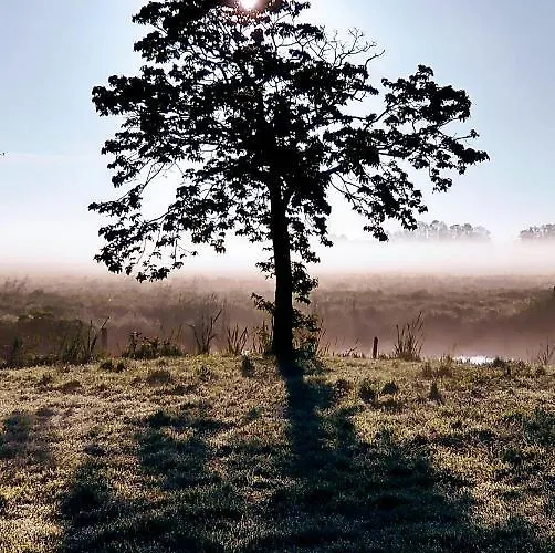 B&bslapenopeeneiland Отель типа 