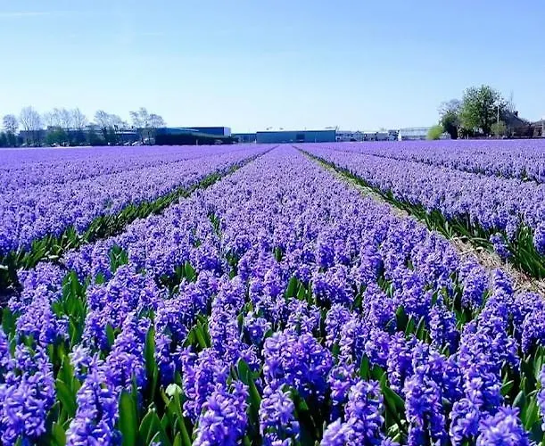 B&bslapenopeeneiland Отель типа 